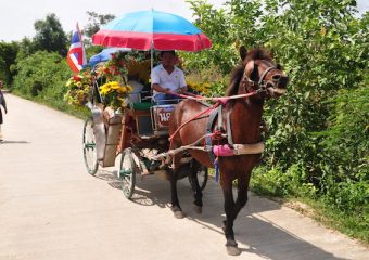 Horse-cart-ride-Lampang6-340x240